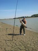 i fish